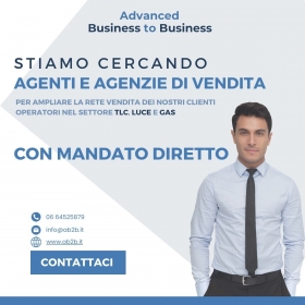 CONSULENZA E COLLOCAMENTO PER AGENTI - Advanced Business to Business